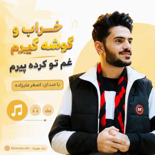 آهنگ خراب و گوشه گیرم غم تو کرده پیرم با صدای اصغر علیزاده