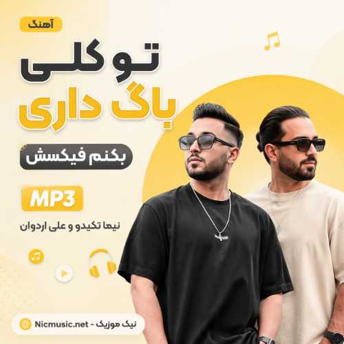 آهنگ تو کلی باگ داری بکنم فیکسش نیما تکیدو و علی اردوان MP3
