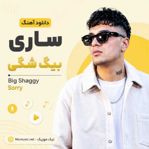 دانلود اهنگ ساری بیگ شگی / Big Shaggy Sorry