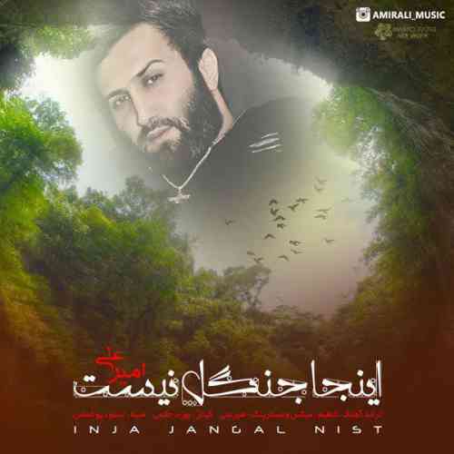 دانلود آهنگ جدید امیرعلی به نام اینجا جنگل نیست عکس جدید امیرعلی عکس ها و موزیک های جدید امیرعلی