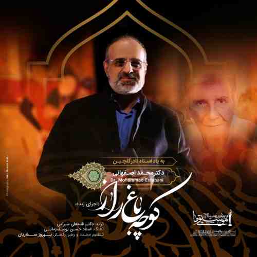 دانلود آهنگ جدید محمد اصفهانی به نام کوچه باغ راز عکس جدید محمد اصفهانی عکس ها و موزیک های جدید محمد اصفهانی