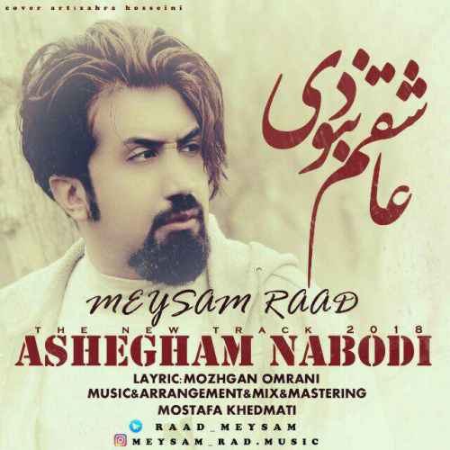 دانلود آهنگ جدید میثم راد به نام عاشقم نبودی عکس جدید میثم راد عکس ها و موزیک های جدید میثم راد