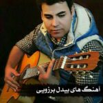 بیدل برزویی