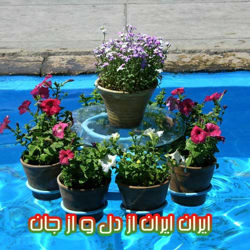 ایران ایران