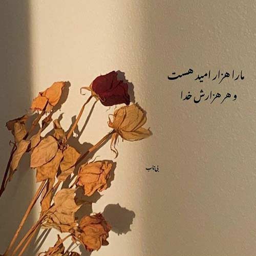 آهنگ از زمانی که واسه خودم شدی گلم محسن آقاخانی الماس