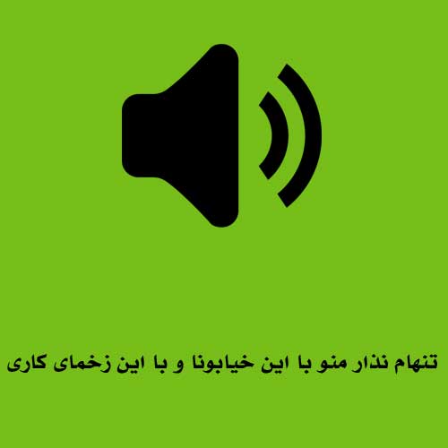 تنهام نذار منو با این خیابونا و با این زخمای کاری