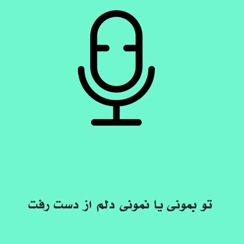 تو بمونی یا نمونی دلم از دست رفت