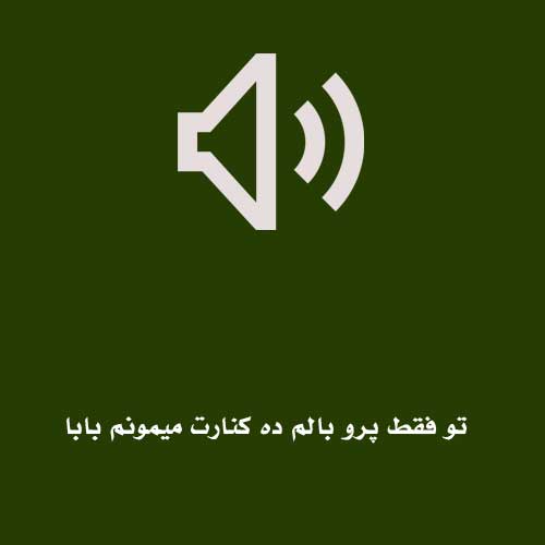 تو فقط پرو بالم ده کنارت میمونم بابا