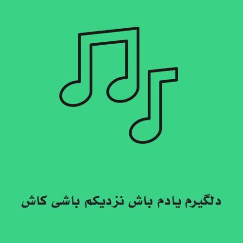 دلگیرم یادم باش نزدیکم باشی کاش