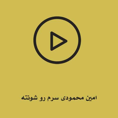 امین محمودی سرم رو شونته