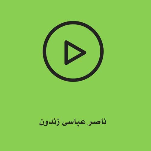 ناصر عباسی زندون