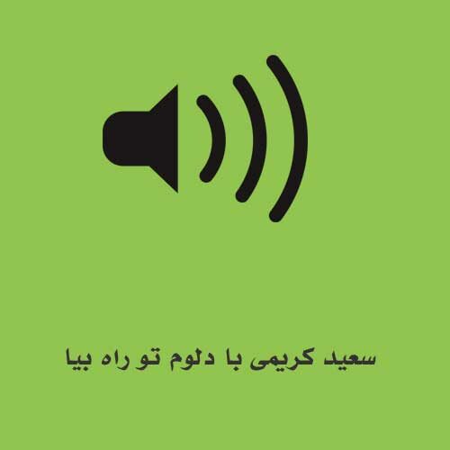 سعید کریمی با دلوم تو راه بیا