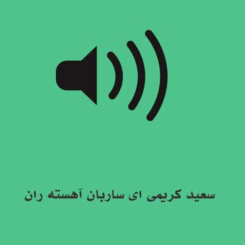 سعید کریمی ای ساربان آهسته ران