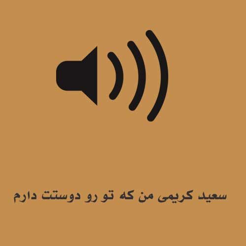 سعید کریمی من که تو رو دوستت دارم