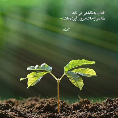 آهنگ من دلم تنگه واسه یه دلخوشی کوچیک MP3