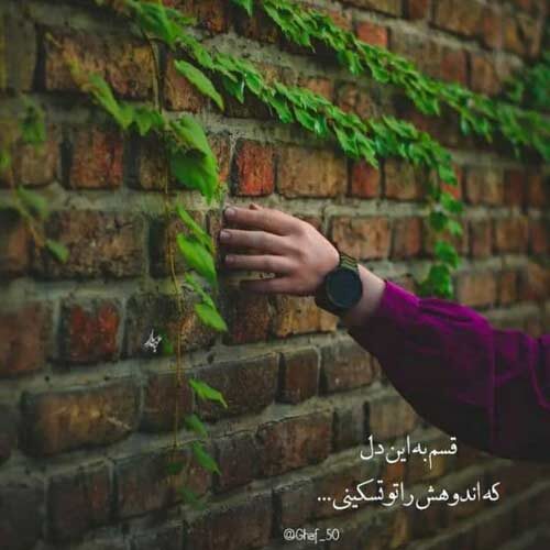 آهنگ آسمان دلم شکیا ودست عاشقی پریا علی احمدیانی