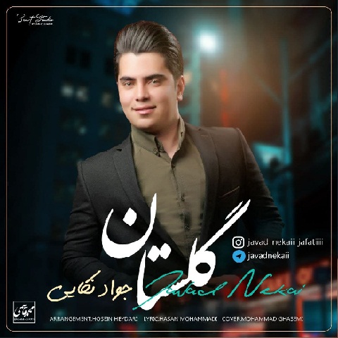 جواد نکایی گلستان