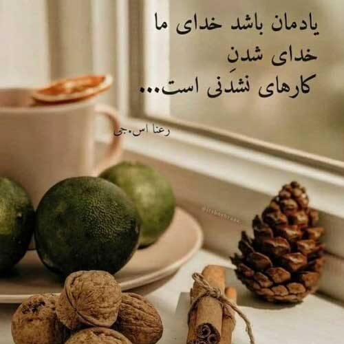 آهنگ تک پری سروری زانم وه دنیا سری خوشگلی دلبری فرشید نادری