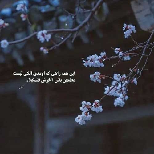 آهنگ به تو دل دادمو دل دادی و من میدونم