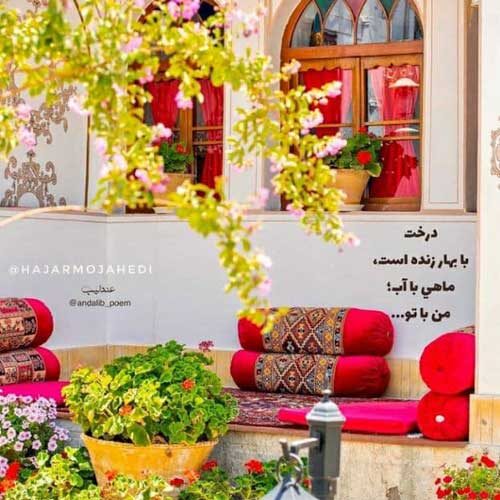 آهنگ زندگی نفس کش میخواد