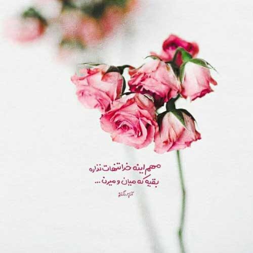 آهنگ تو را از بین صدها گل جدا کردم
