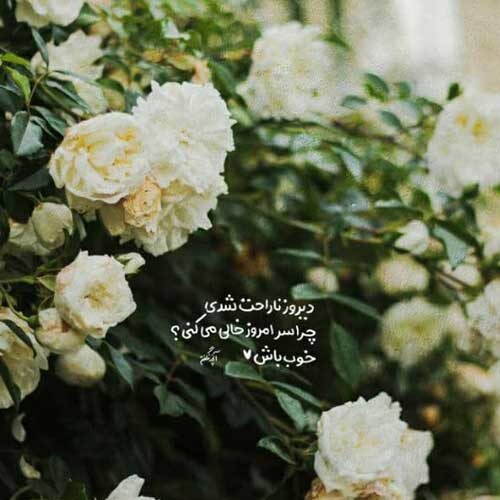 آهنگ عروس خوشگل ما چشمان آهو دارد مرتضی اشرفی