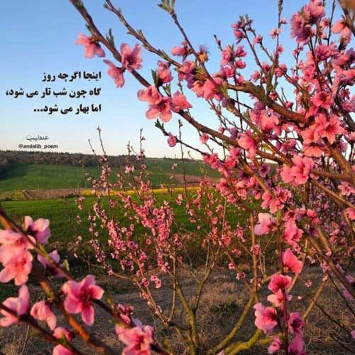 آهنگ گریه آبغوره من اونجا بودم ریمیکس