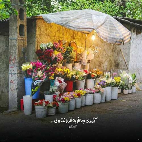 آهنگ مه یار مه جانه شهر نامبروانه ناصر عباسی