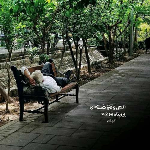 آهنگ منم دلم میخواست دلبر من دلبر بود مهدیار