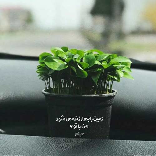 آهنگ بازم یه تیکه ماه شدی با این گلای پیرهنت