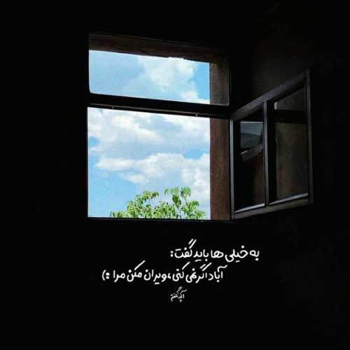 کبوتر سفیده پر هدامه دلبر منه جانه ابی عالی