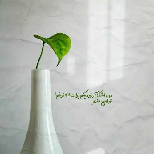 اهنگ دستامو ول نکن که اینجا پره گرگه