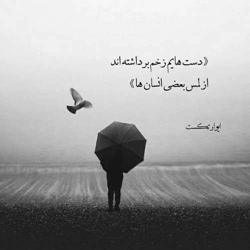 آهنگ عاشق دیوونه منم ک شدی تاج سرم احمد سلو