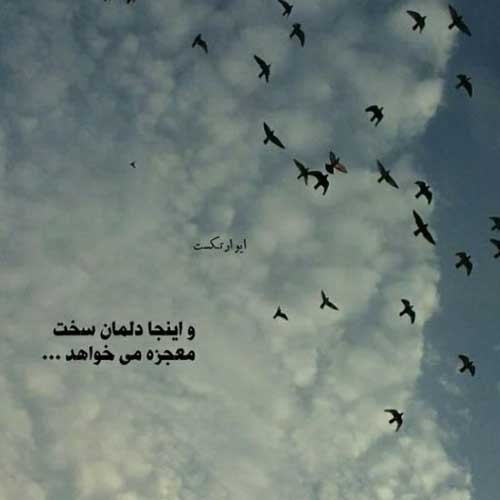 آهنگ ای فلک نمک نشناس حسین عاشقی