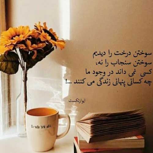 آهنگ قسمت نشد بشم فرهاد شیرینو دلم بخواد