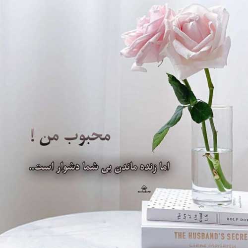 آهنگ پشت هم بریز برام حال مستی رو میخوام ریمیکس