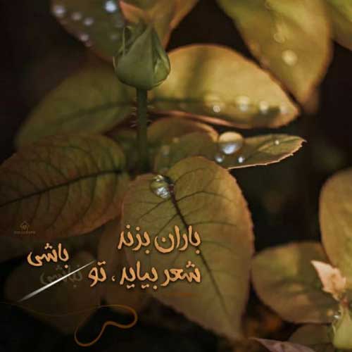 آهنگ تورا چون جان خود میدانمت رضا بهرام