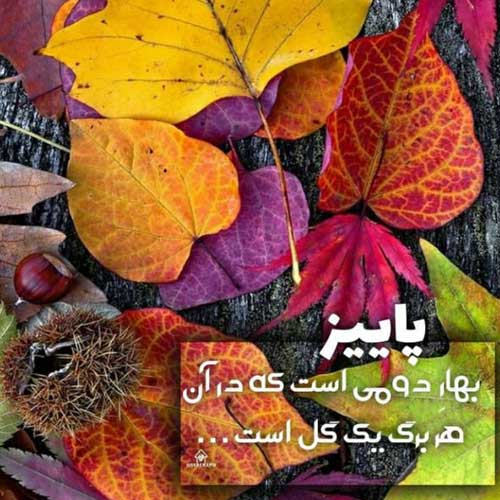 آهنگ بدون تو چیا کشیدم من محمد علیزاده