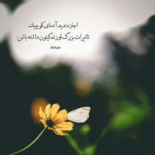 آهنگ اخ که چقدر با تو پشتم پره مجید رضوی