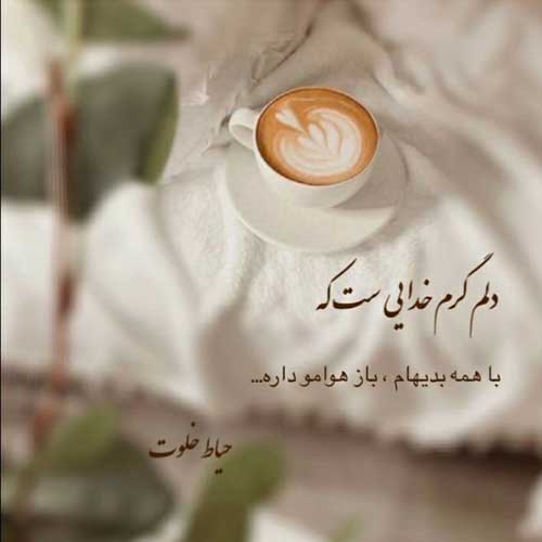 آهنگ محمد زمانی شیر زرد وری بگرد پلنگ حواله