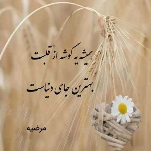 آهنگ آهسته برو ناکس این خاطره هات مونده امیر اصلانی