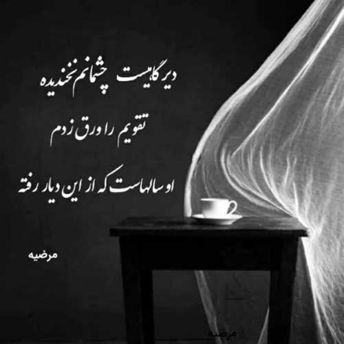 آهنگ این دلم دلتنگی تو رو داره موسی الرضا هاتفی