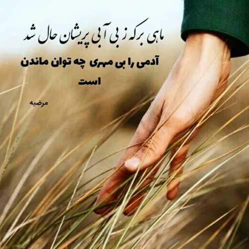 آهنگ اون که یه وقتی تنها کسم بود امین حبیبی