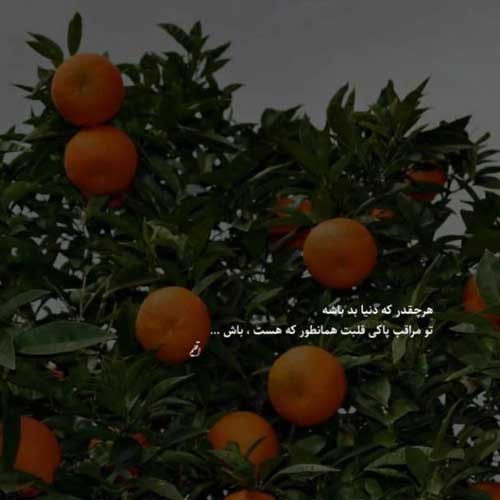 آهنگ حاله او سربازه درم رفیقی گرد عشقی دونی