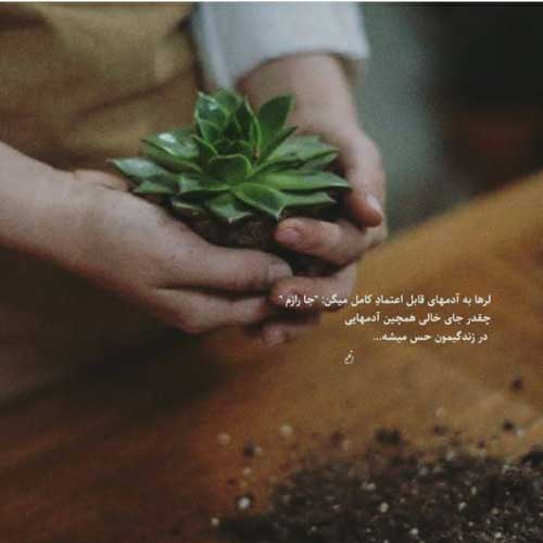 آهنگ فلک چرخکت ناسازه له نو