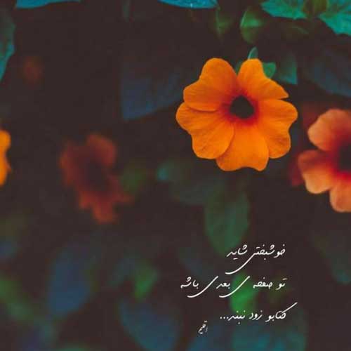 آهنگ تو به دنیا اومدی که دنیا رنگی بشه رضا طاهر