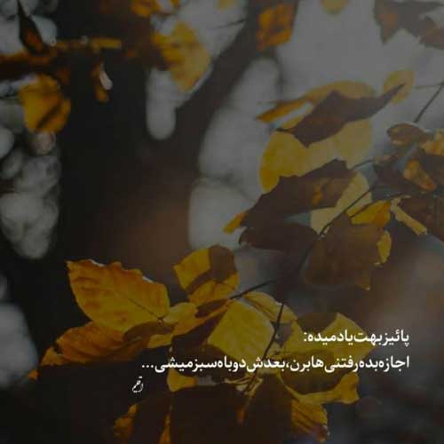 آهنگ داداشی من پر زده تو آسمون مرتضی جعفرزاده