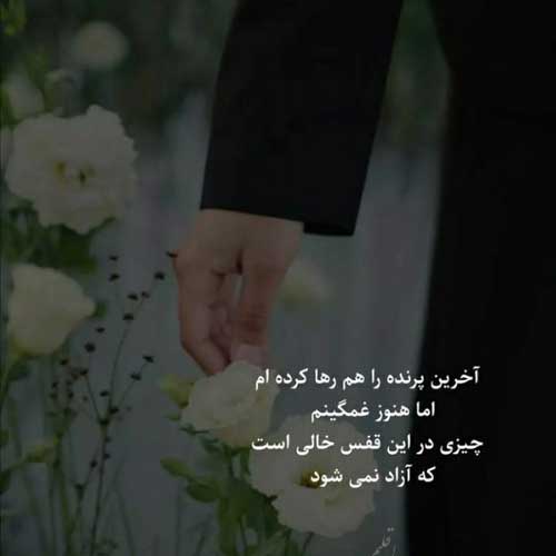 آهنگ بازم شبو بازم درد مرتضی جعفرزاده