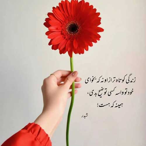 آهنگ آهای تویی که از همه سرتری شکیب