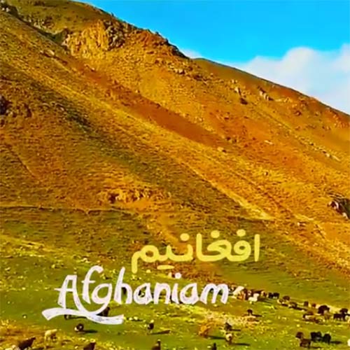 آهنگ میلاد هراتی وحید عمر صدیقی افغانیم